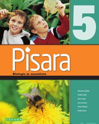 Pisara 5