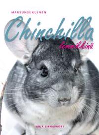 Marsunsukuinen chinchilla lemmikkinä