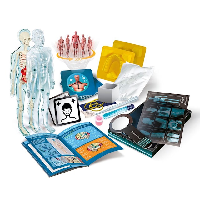Produktbilde 2 for Clementoni Super Anatomy Science Kit