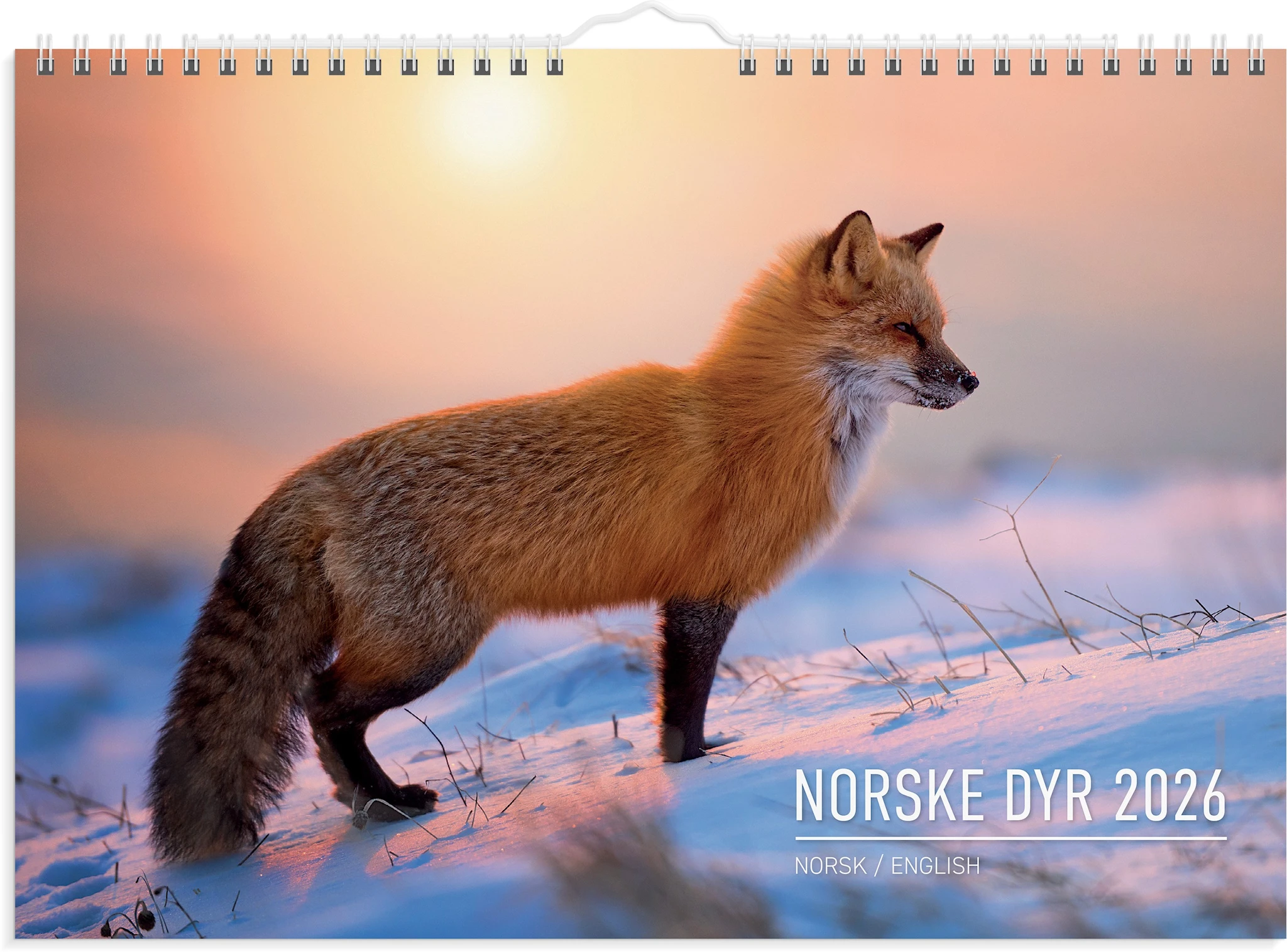 Produktbilde for Veggkalender 2026 A4 Norske Dyr GRIEG