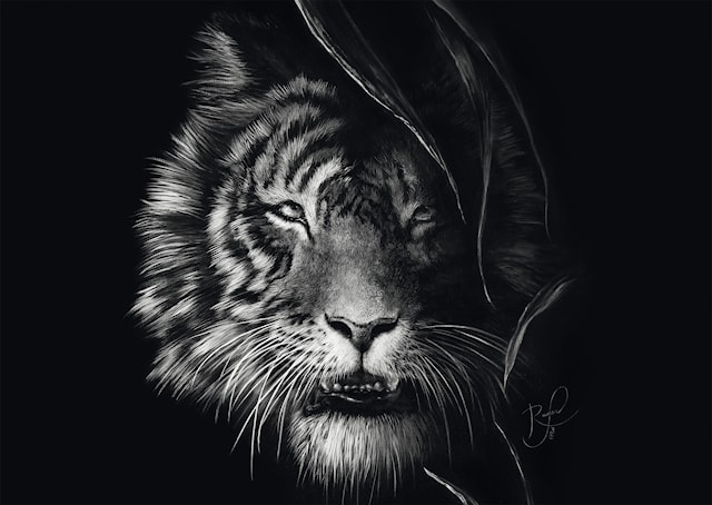 Tuotekuva 2 - Palapelit Wilderness Tiger The epitome of freedom 1000 palaa, Schmidt