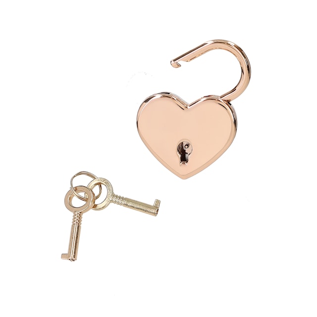 Tuotekuva 5 - Päiväkirja taikakynällä TOPModel