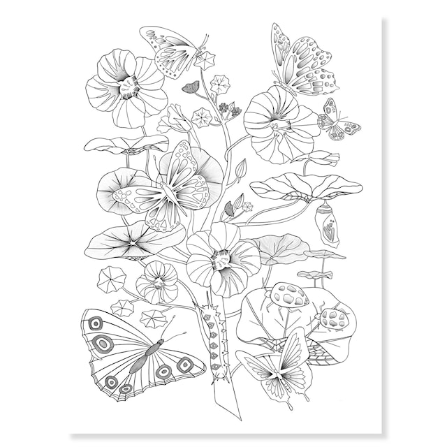 Produktbild 4 för Målarbilder vackra skogsmotiv att färglägga Djeco