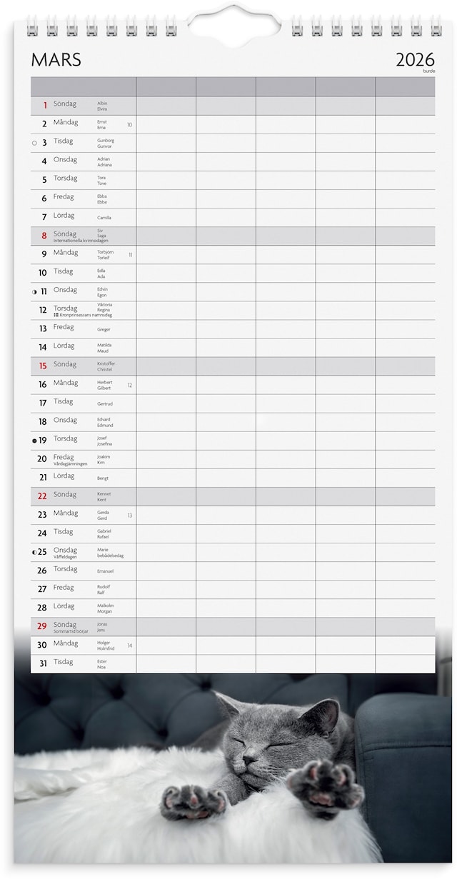 Produktbild 2 för Familjekalender 2026 Katter 220x430 mm Burde