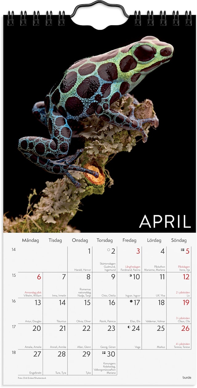 Produktbild 2 för Väggkalender 2026 Wild Animals 120x230 mm Burde