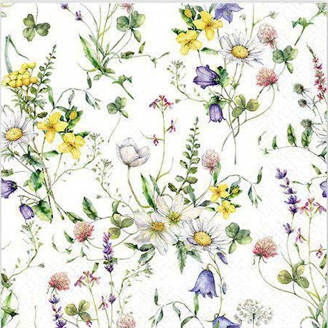 Produktbilde 1 for Matservietter Engblomst 20-pack Gullers