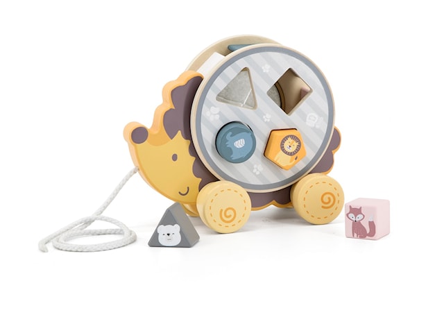 Produktbild 1 för Igelkott Dragleksak med Sortering Viga