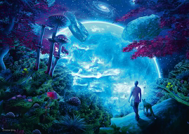 Tuotekuva 2 - Palapelit Celestial Sky 1000 palaa, Schmidt