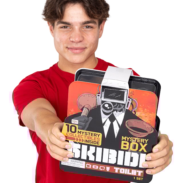 Produktbild 5 för Mystery Box Skibidi Toilet