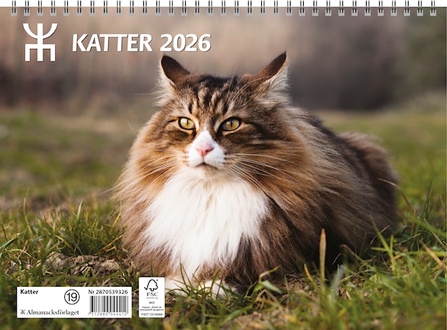 Produktbild 1 för Väggkalender Katter 2026 Almanacksförlaget