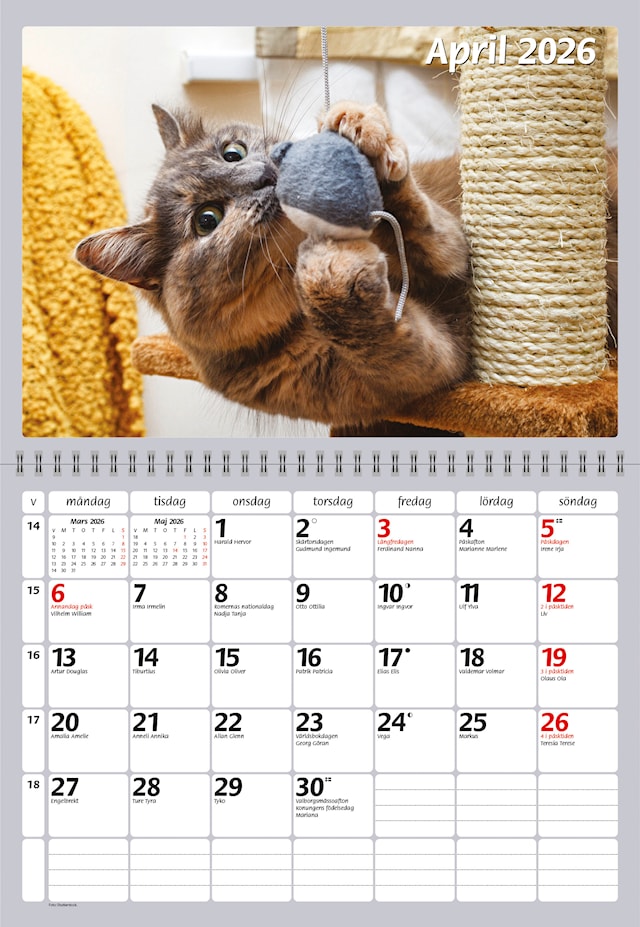 Produktbild 2 för Väggkalender Katter 2026 Almanacksförlaget