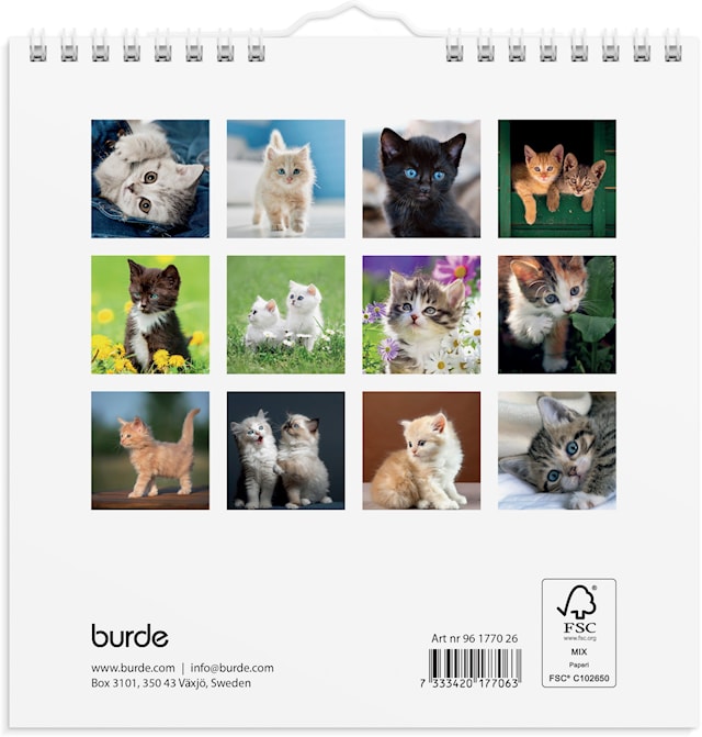 Tuotekuva 3 - Seinäkalenteri 2026 Kissanpennut 160x160 mm Burde