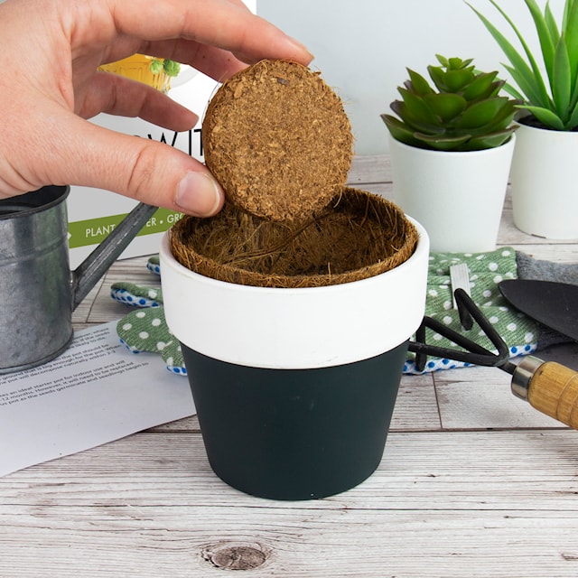 Produktbild 3 för Odlingskit Öl Gift Republic Ltd.