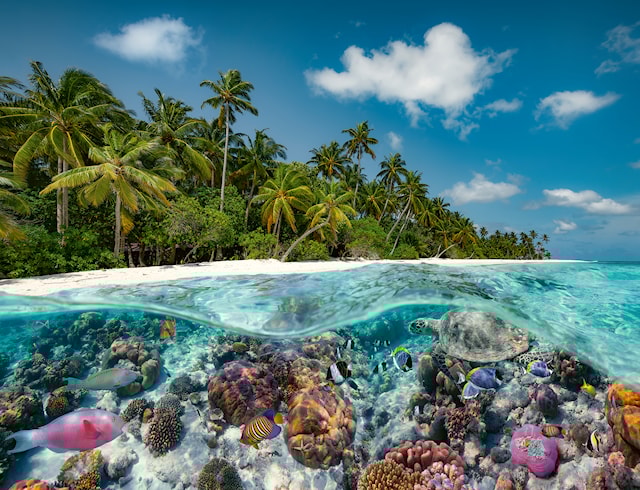 Produktbild 2 för A Dive In The Maldives Pussel  2000 bitar Ravensburger