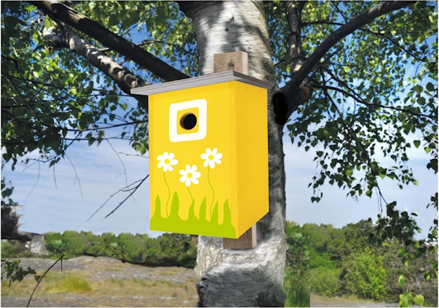 Produktbilde 3 for Hobbysett Fuglekasse Playbox