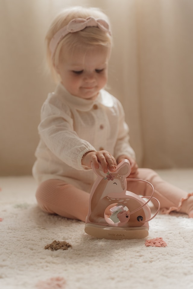 Produktbild 2 för Fairy Garden Aktivtetsdjur FSC Trä Little Dutch