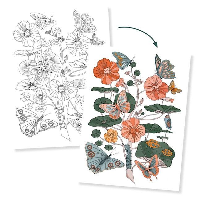 Produktbild 2 för Målarbilder vackra skogsmotiv att färglägga Djeco