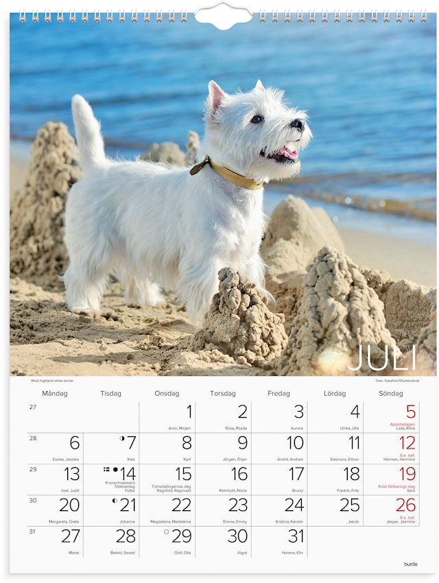 Produktbilde 2 for Väggkalender 2026 Stora Hundkalendern 295x390 mm Burde