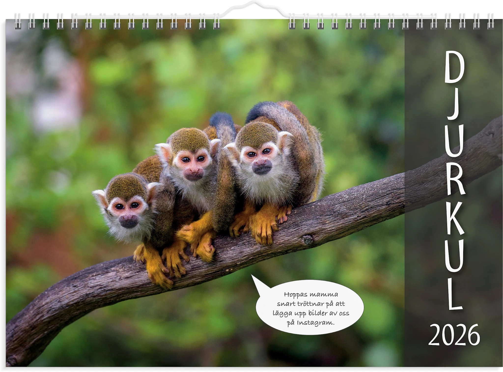 Produktbild för Väggkalender 2026 Djurkul 250x176 mm Burde