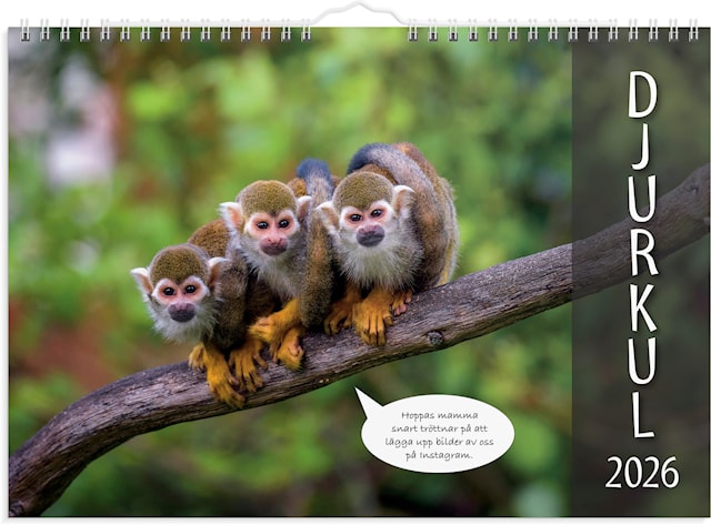 Tuotekuva 1 - Väggkalender 2026 Djurkul 250x176 mm Burde