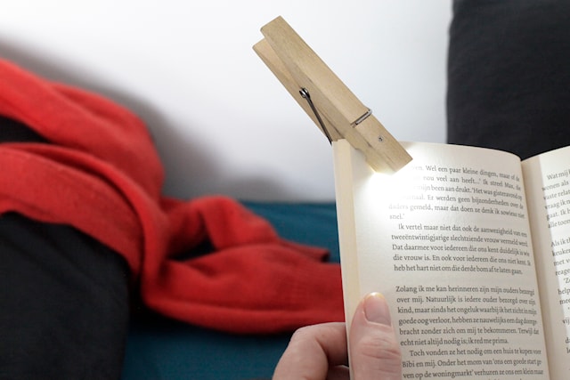 Tuotekuva 3 - Pyykkipoikalukulamppu