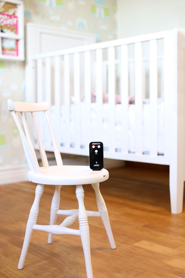 Produktbild 4 för CAPiDi Babyvakt, Svart