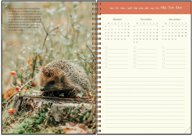 Produktbild 2 för Kalender 2026 A5 Lantdrömmar Burde