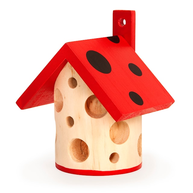 Produktbild 1 för Ladybug House, Kikkerland