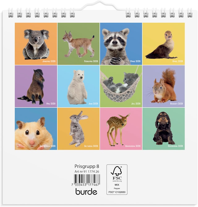 Tuotekuva 3 - Väggkalender 2026 Sötnosar 160x160 mm Burde
