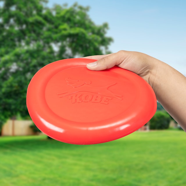 Produktbilde 1 for Bacon Scented Flying Disc Kobe