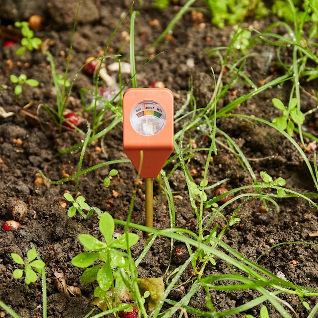 Produktbild 1 för Hydrometer Kikkerland