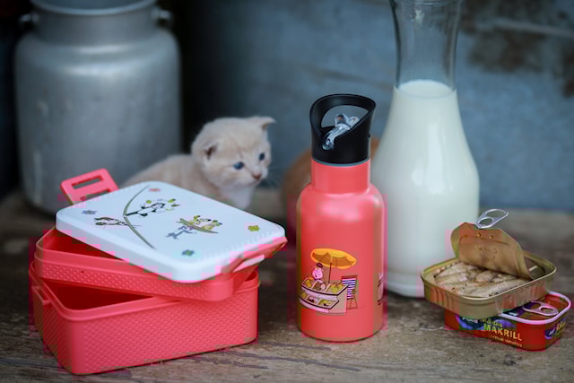 Produktbild 3 för Pelle Svanslös Vattenflaska Korall Rätt Start