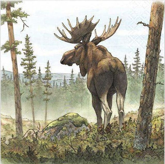 Produktbilde 1 for Matservietter tegnet Elg 20-pack Gullers