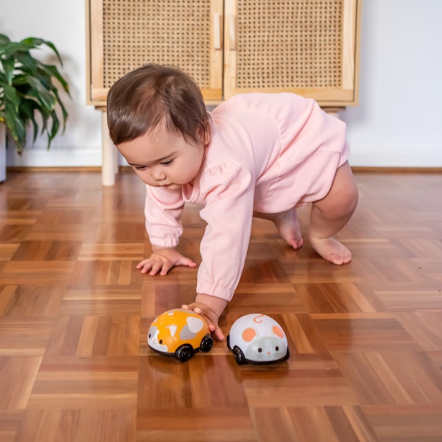 Tuotekuva 4 - Vetäise Kissa ja Hiiri Tiger Tribe