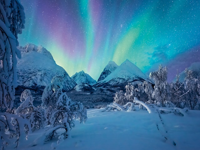 Tuotekuva 2 - The Arctic Show 1500 palaa, Ravensburger