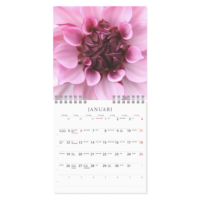 Produktbild 2 för Väggkalender Blossom Mini 2026