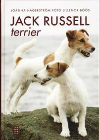 Jack Russell-terrier