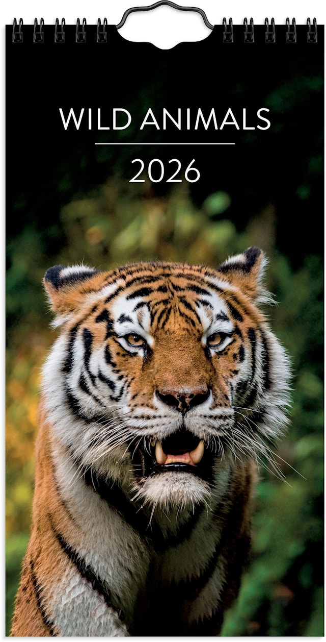 Produktbild 1 för Väggkalender 2026 Wild Animals 120x230 mm Burde
