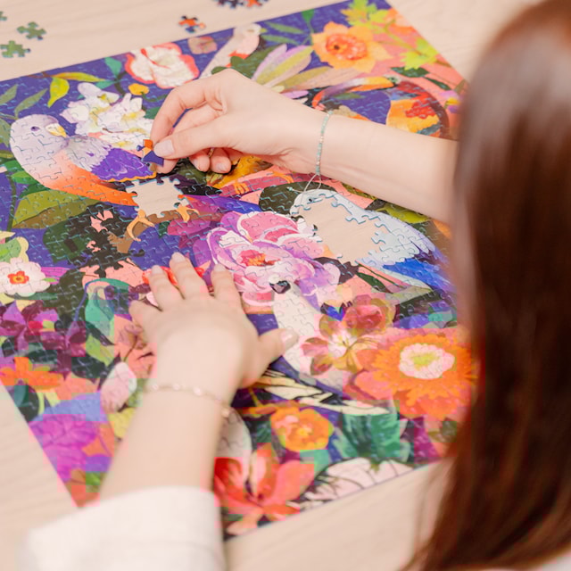 Produktbilde 5 for Puslespill Art&Soul - Bird Watching 750 brikker, Ravensburger