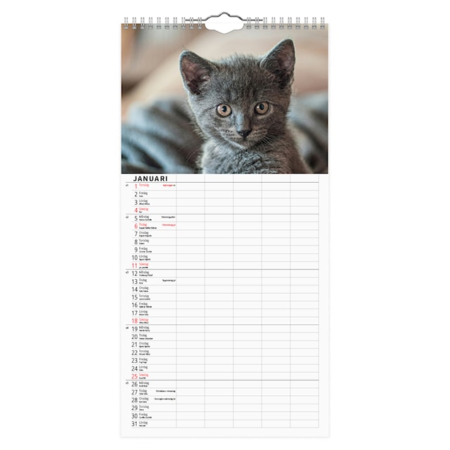 Produktbild 2 för Familjekalender Katter 2026