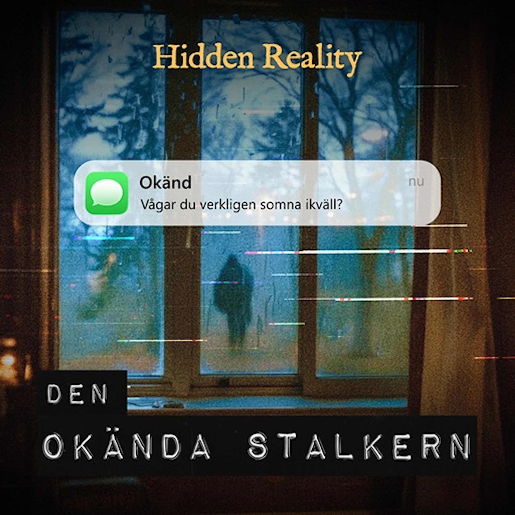 Produktbild för Den okända stalkern, Hidden Reality