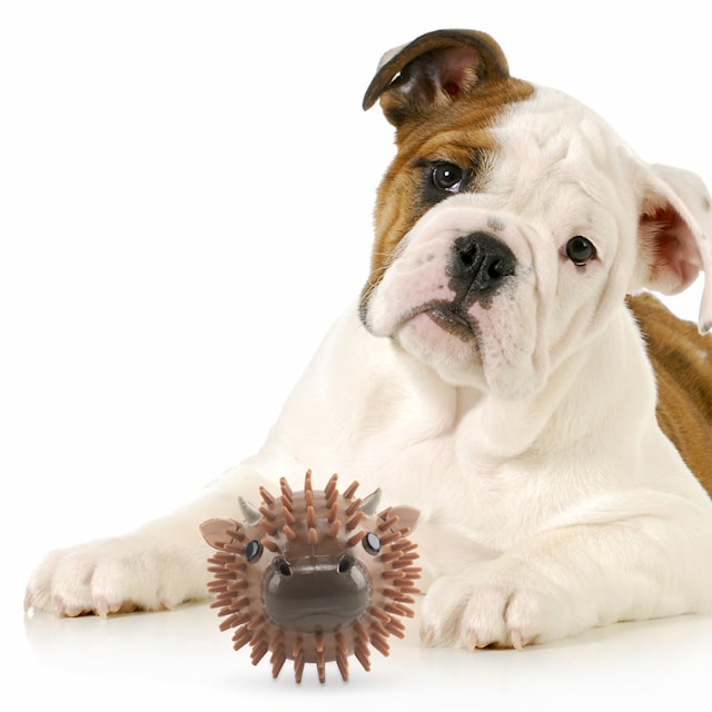 Produktbild 2 för Cow Dog Ball Kobe