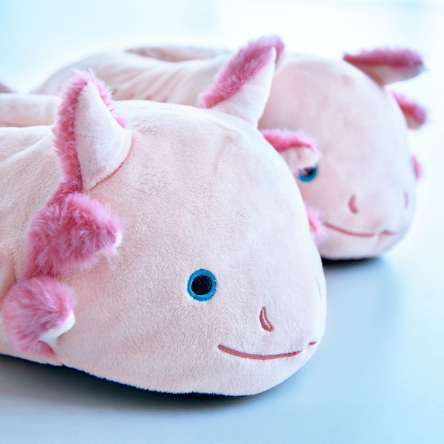 Tuotekuva 4 - Axolotl Slippers
