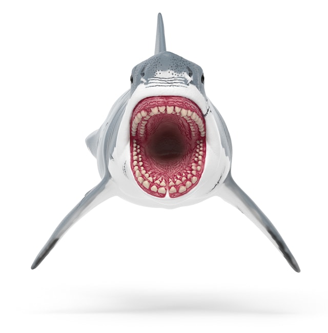 Produktbild 2 för Dinosaurs Megalodon Schleich