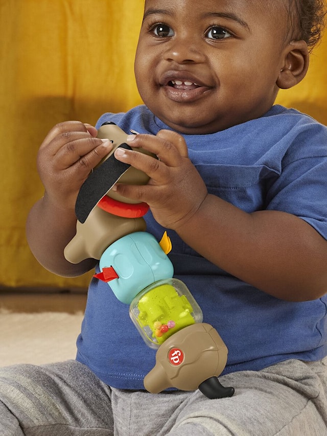 Tuotekuva 3 - Fisher-Price Click & Spin Activity Pup