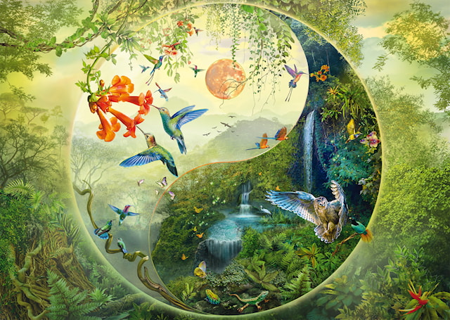Tuotekuva 2 - Yin & Yang In The Forest Of Hummingbirds Palapeli 1000 Palaa Schmidt