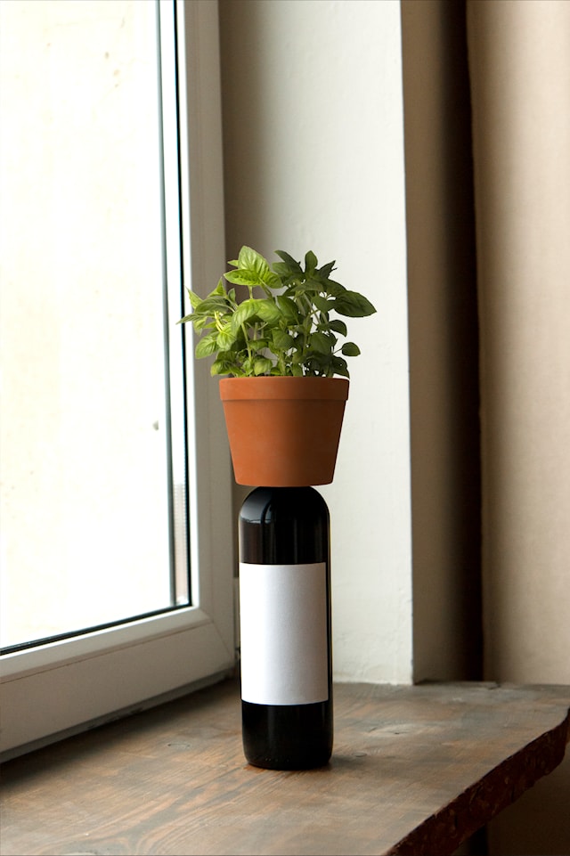 Produktbilde 3 for Bottle Planter Kikkerland