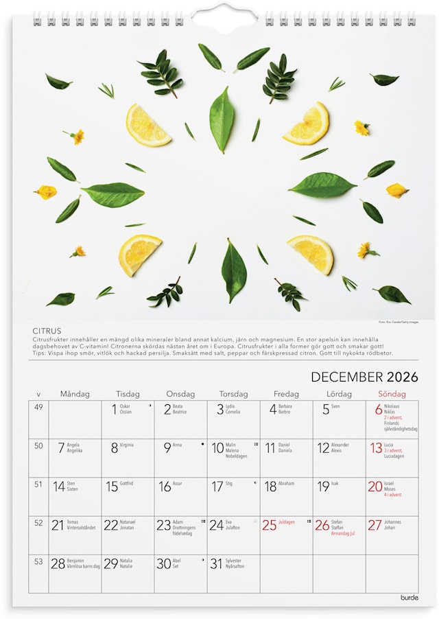 Produktbild 2 för Väggkalender 2026 A4 Gröna Tips Burde