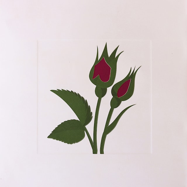 Produktbilde 2 for Pop-up kort Rose Mørk rød 2 TOTANGO