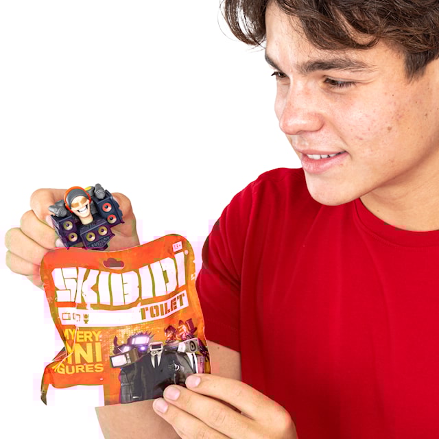 Produktbild 3 för Mini Mystery Figurer Skibidi Toilet